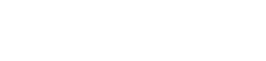 DotNext